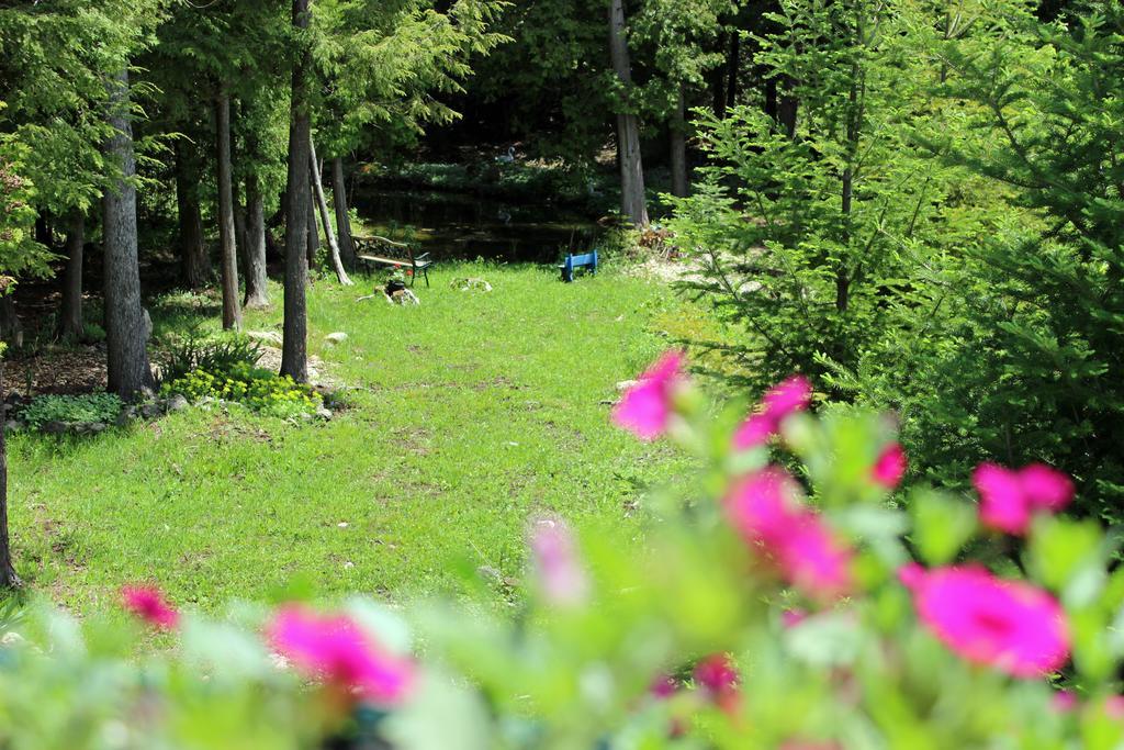 Mellowout B&B Lions Head Exteriör bild